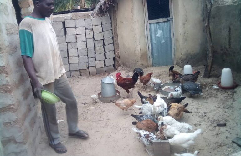 Contribution de l’ONG PTM à l’Amélioration des Revenus des Producteurs de Riz et de Poulet Traditionnel
