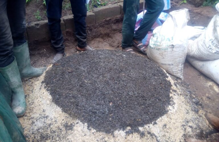 Utilisation des Intrants de Qualité et Biofertilisants : PTM Sensibilise 33 000 Producteurs Togolais